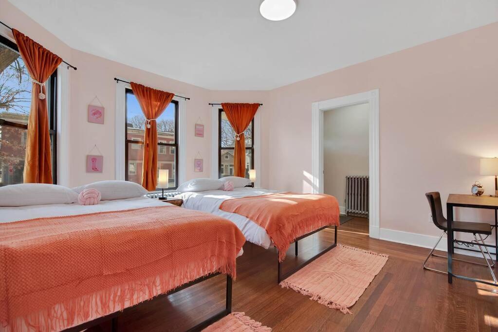 Peachy Paradise In East Rock Near Dt/Yale New Haven Exteriör bild
